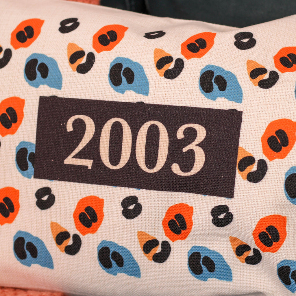 Personalised Colourful Leopard Print Cushion For Home