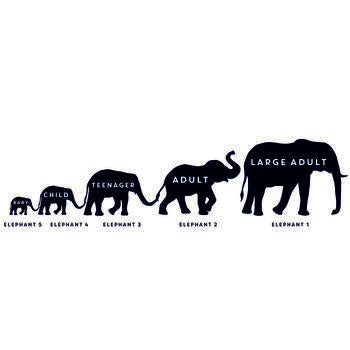 Personalised Elephant Chopping Board