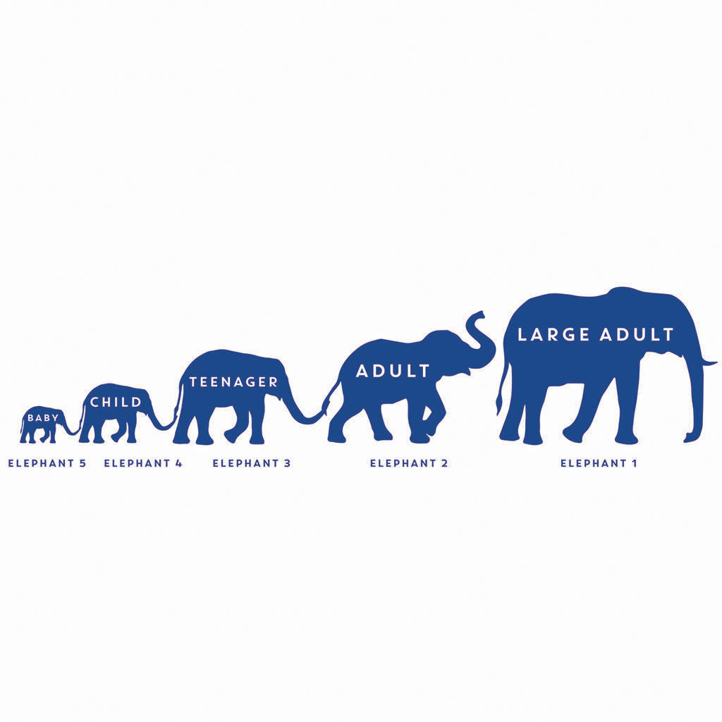 Personalised Elephant Family Foil Print